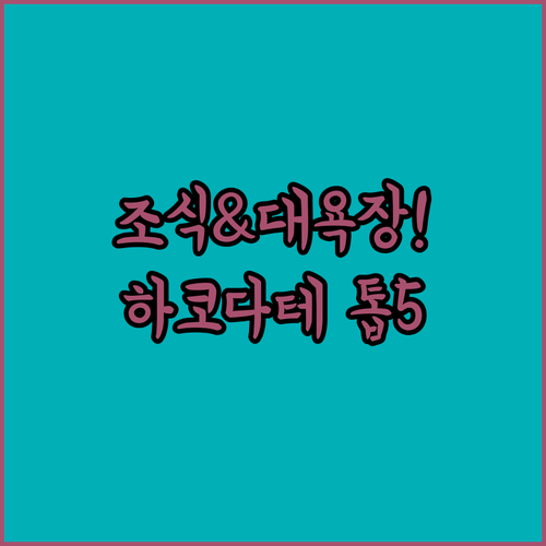 하코다테 숙소 베스트 5 위치 비교 ..