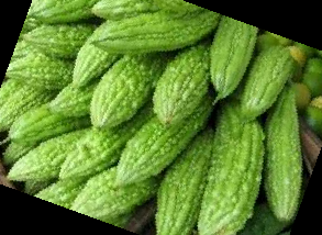 여주 효능 부작용