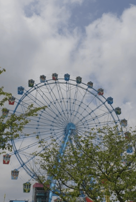 에버랜드 놀이기구