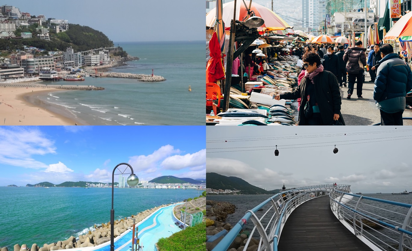 부산 해운대, 자갈치시장, 영도, 송도 전경사진