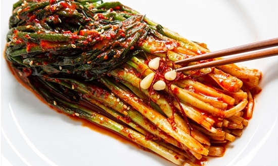 쪽파 언제 심어요? 가을 쪽파 봄 쪽파 심는 시기/종구/심는 방법/수확/보관