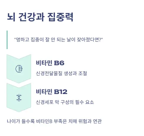 뇌 건강