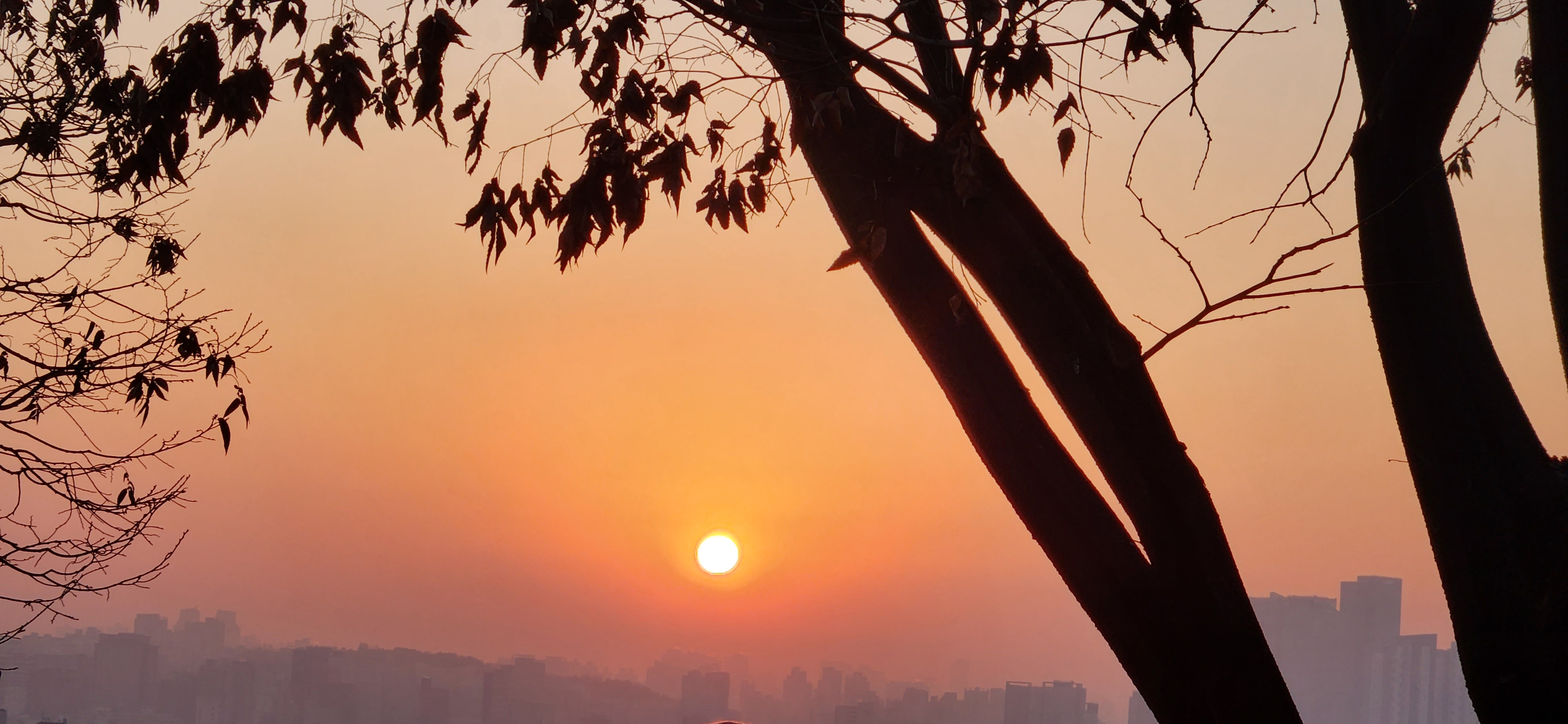 하늘공원 (마포) 새해 일출 해돋이 주차