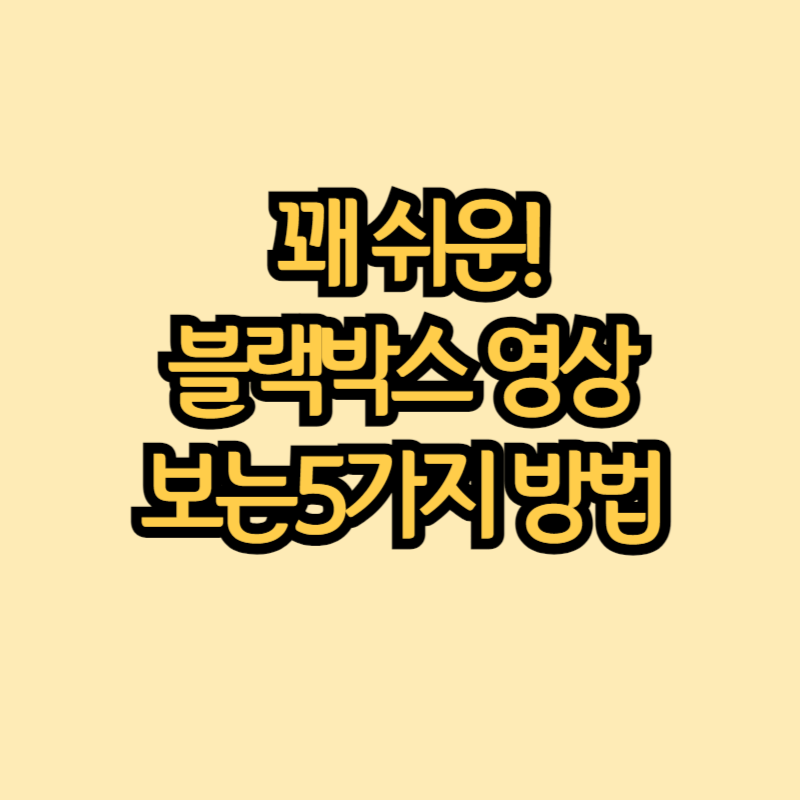 블랙박스 영상 보는 방법