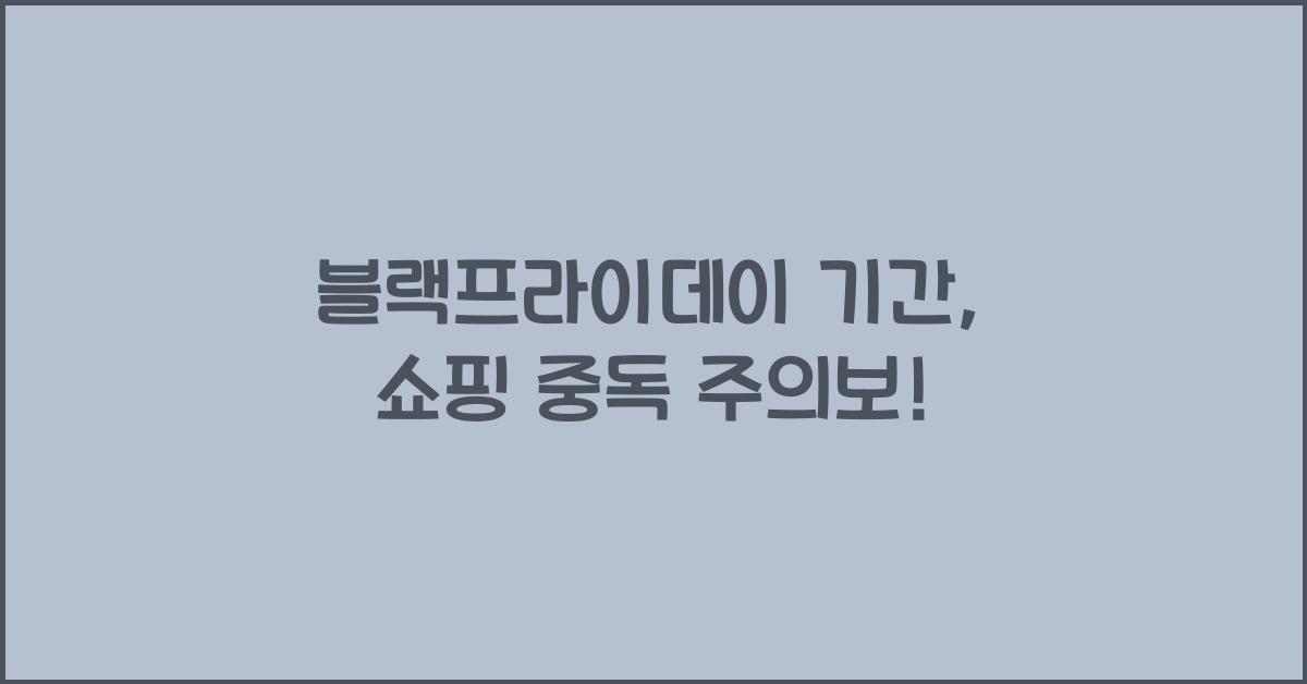 블랙프라이데이 기간