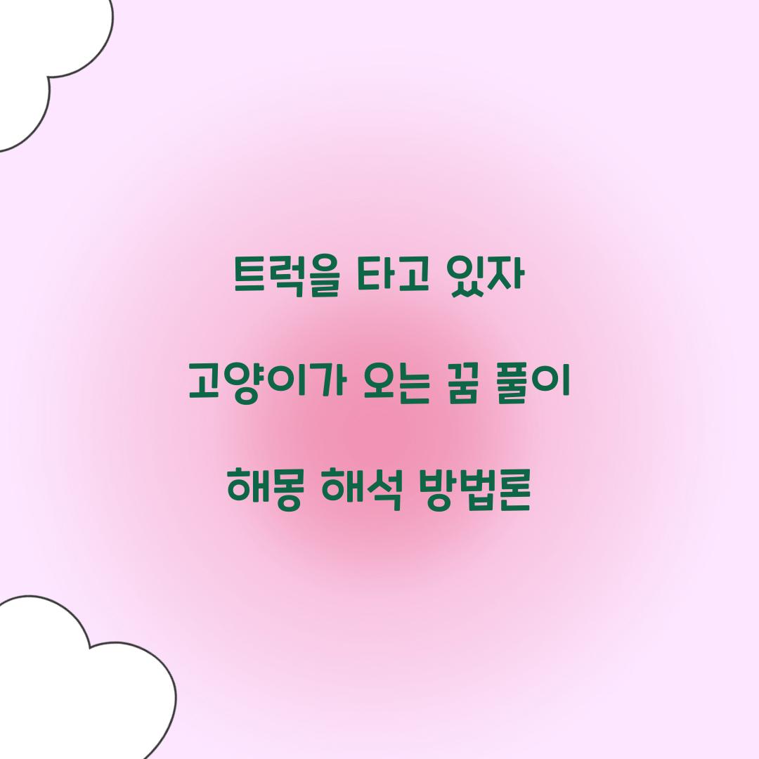 트럭을 타고 있자 고양이가 오는 꿈 풀이 해몽 해석