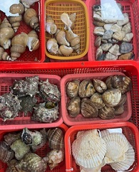 해산물