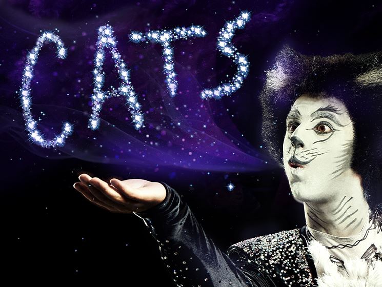 뮤지컬 캣츠 예약방법