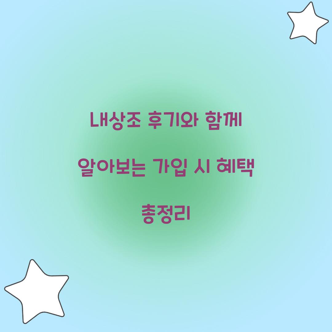 내상조 후기