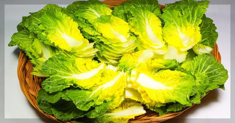 2월 제철 음식 봄동