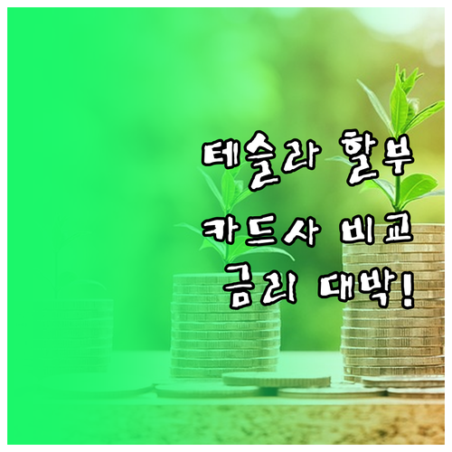 테슬라 파이낸셜 서비스와 카드사 다이..