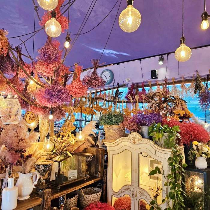 생방송오늘저녁 보령 대천 여행 바둑이네 동물원 미술관 허브랜드 모히또 허브꽃밥 디저트 플라워 카페