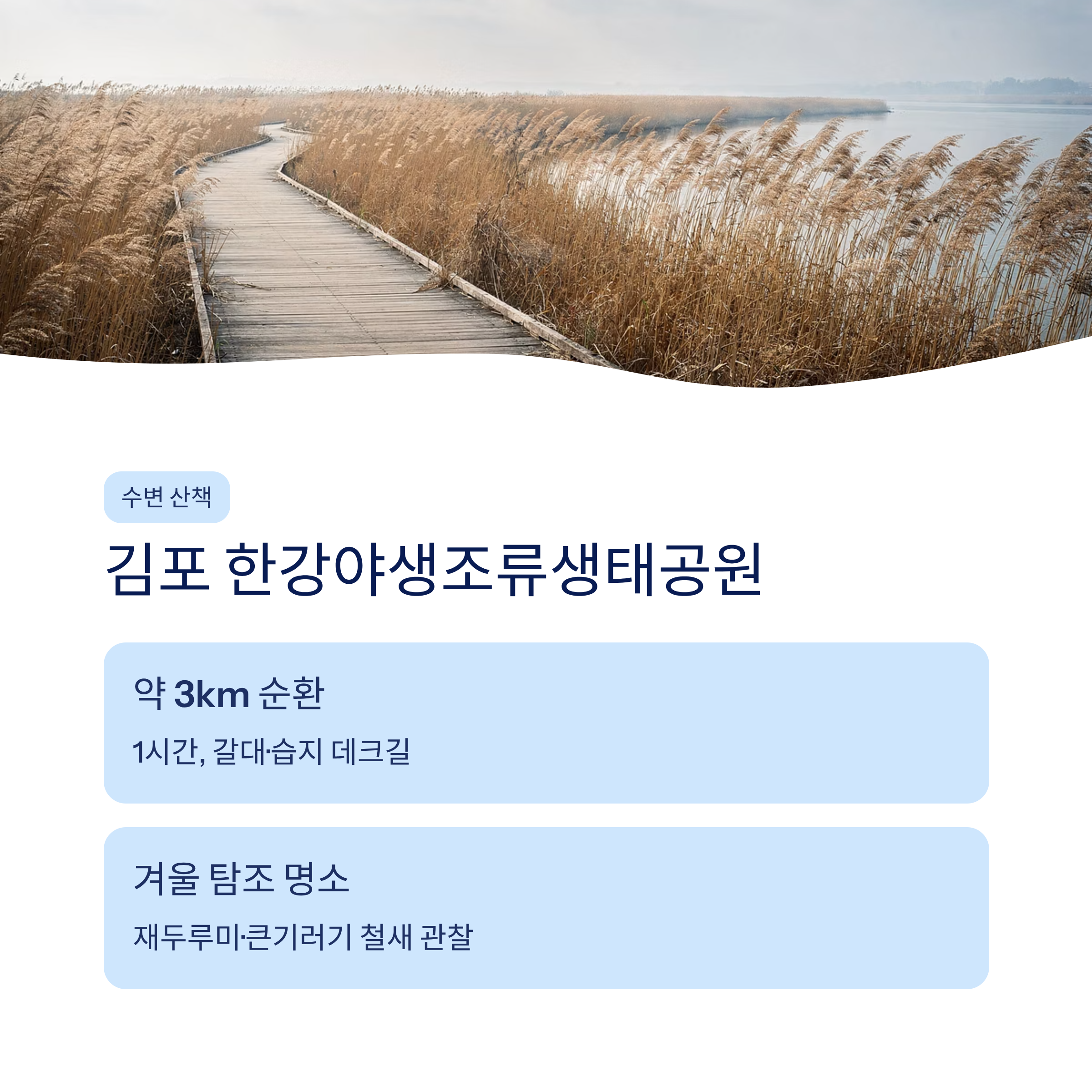 김포 근교 산책 달리기 트레킹 코스 추천 ❘ 한강 하구와 평야가 만드는 서울 옆 힐링 루트