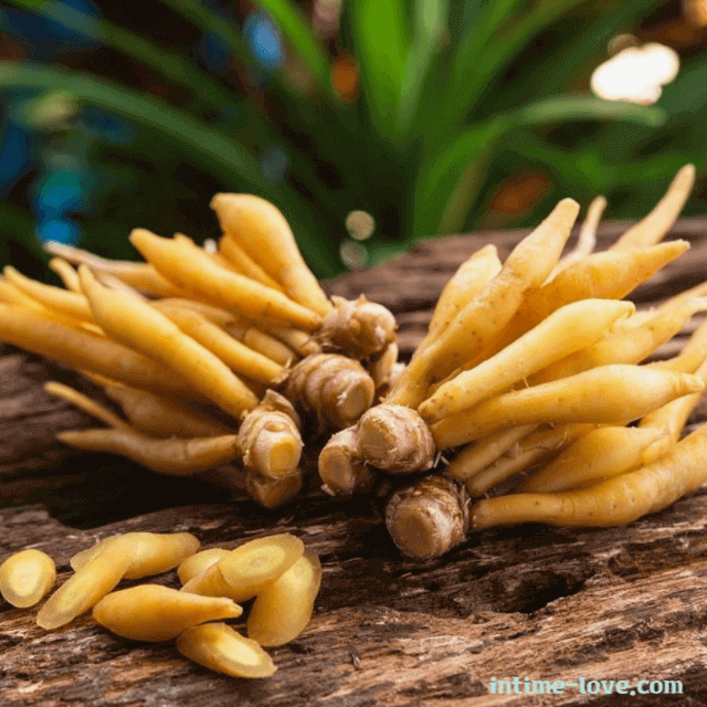 체지방을 잡아주는 핑거루트