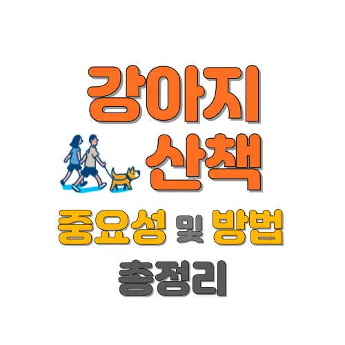 강아지 산책 썸네일