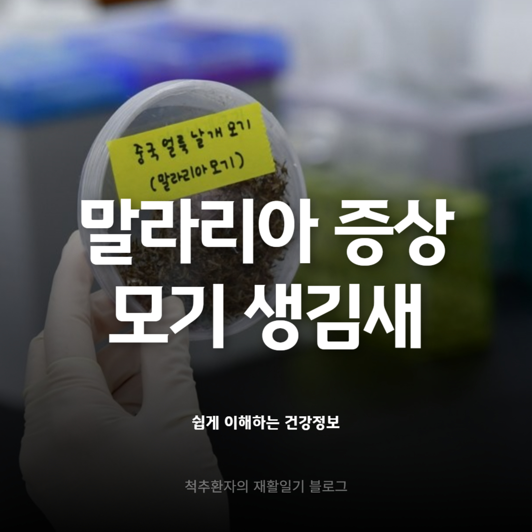 말라리아-모기-생김새