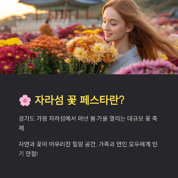 자라섬 꽃 페스타 가을 축제 완전 정복! 가평 가을꽃 명소 여행 가이드