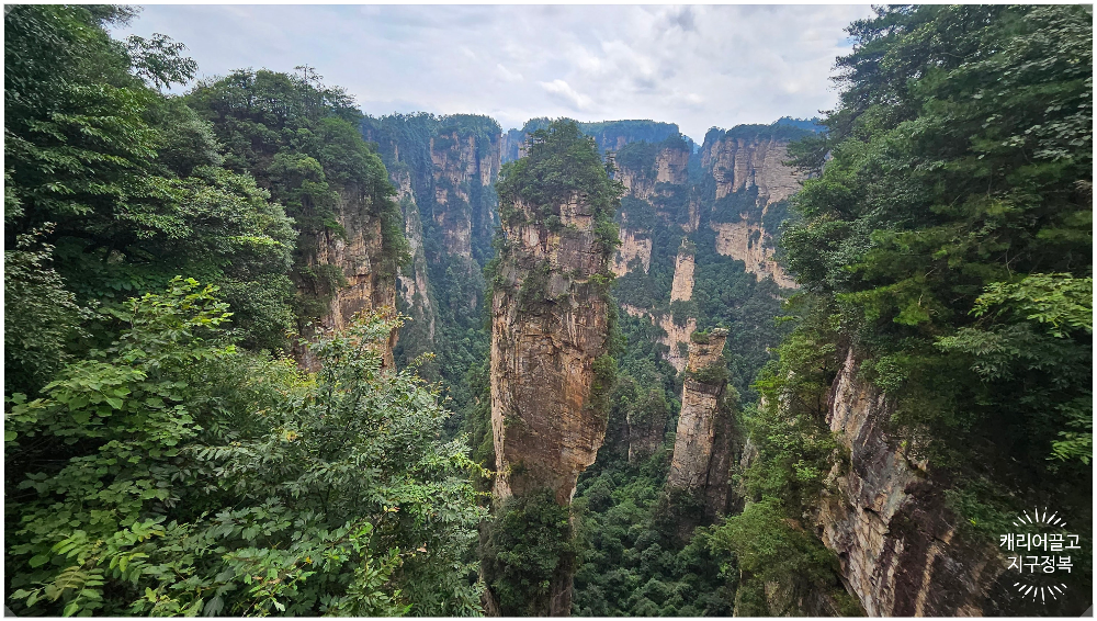 중국 장가계 원가계 아바타