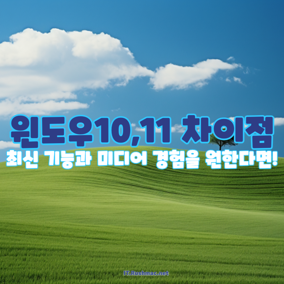 윈도우 10과 11