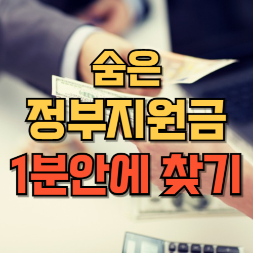 숨은정부지원금