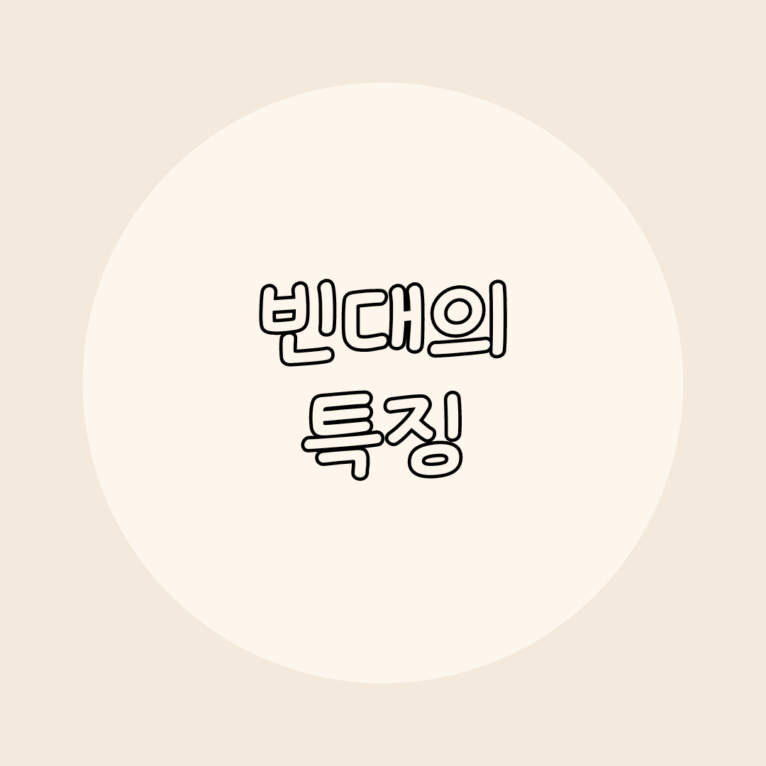빈대란?