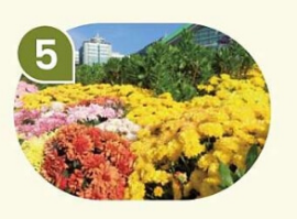 코스모스축제 고양가을꽃축제 예매, 주차장