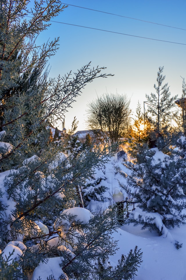 대설특보 차량 관리 이것만 알면 끝