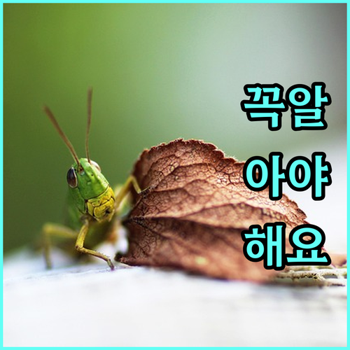 요양병원 운동 치료 프로그램: 맞춤형