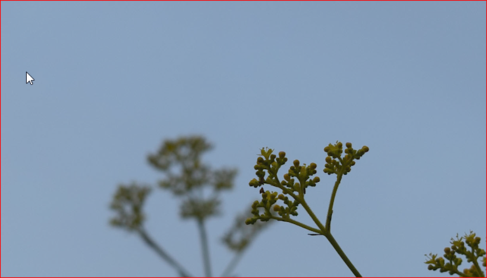 미드톤 수정 전