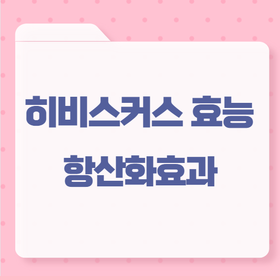 히비스커스효능 항산화효과
