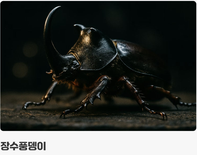 힘의 상징 vs 품격의 기사