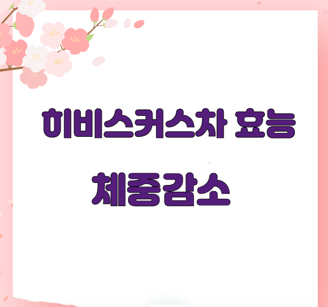 히비스커차 효능 체중감소