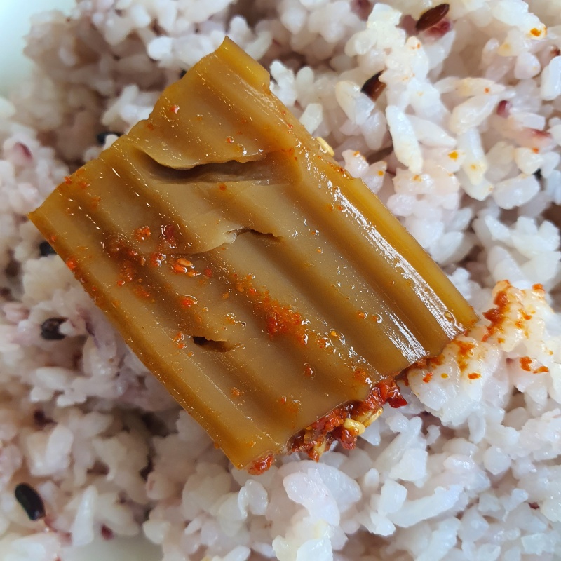 밥에-올라간-도토리묵