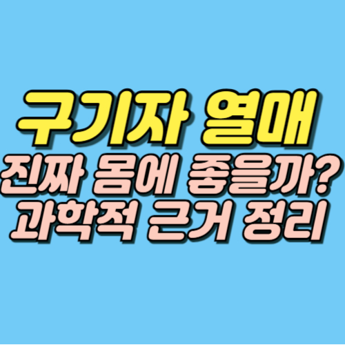 구기자 효능 부작용