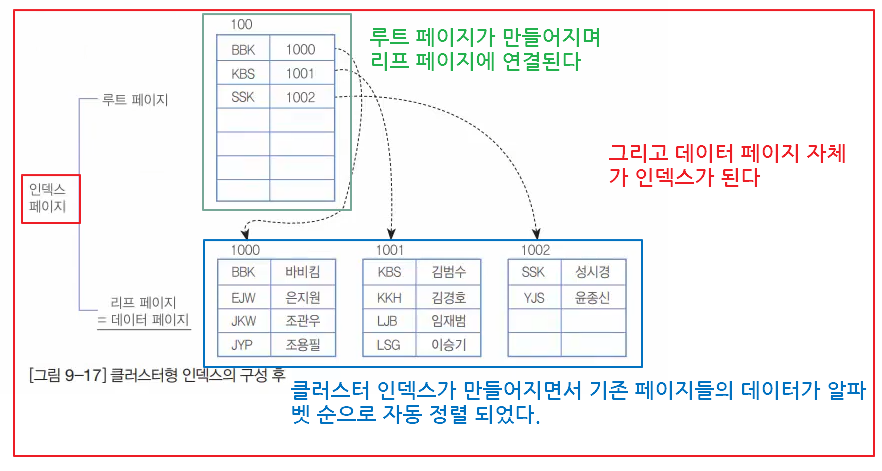 클러스터 인덱스