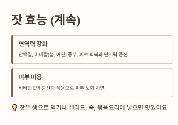 잣 효능 2: 면역력 강화&amp;#44; 피부미용