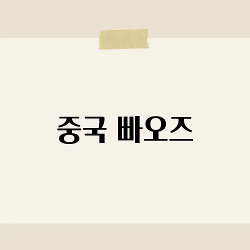중국 빠오즈, 소리 없이 터지는 인기 비결?