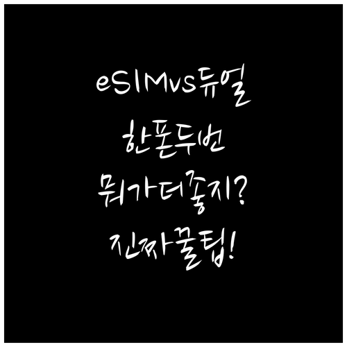 간단폰하나에두번호eSIM과듀얼넘버비교..
