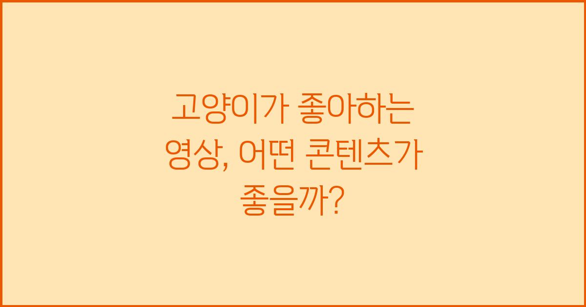 고양이가 좋아하는 영상