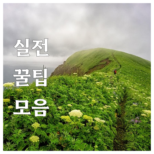 지금 신청하세요 2025 제주 중증장..