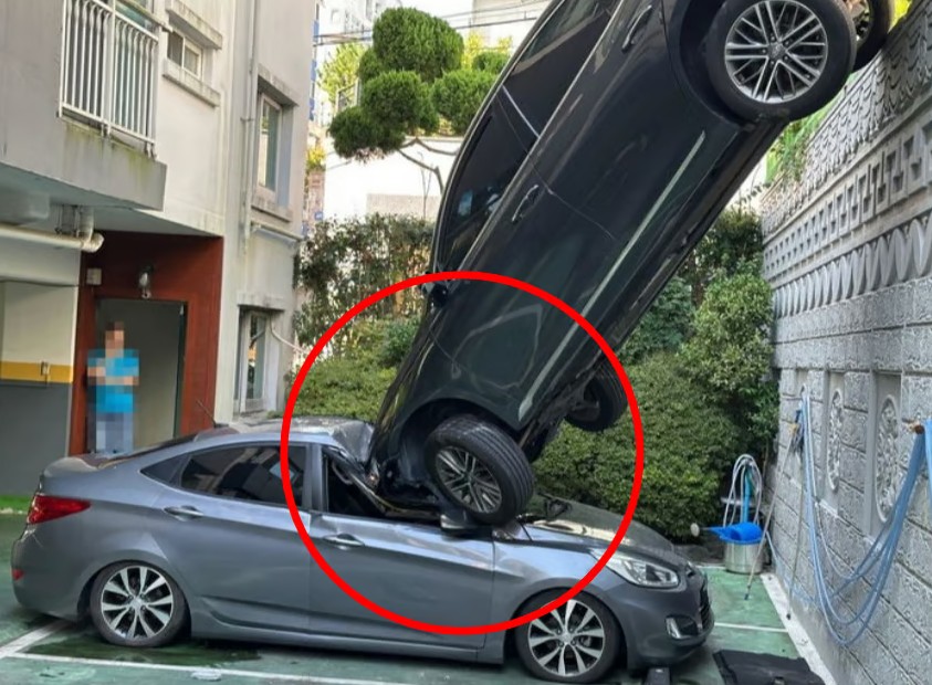 하늘에서 자동차가 떨어졌다? 울산 담벼락 뚫은 아찔 추락 사고 전말 관련 사진