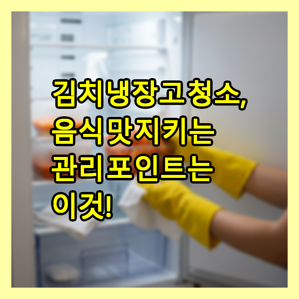 김치냉장고 청소, 음식 맛 지키는 관리 포인트는 이것!