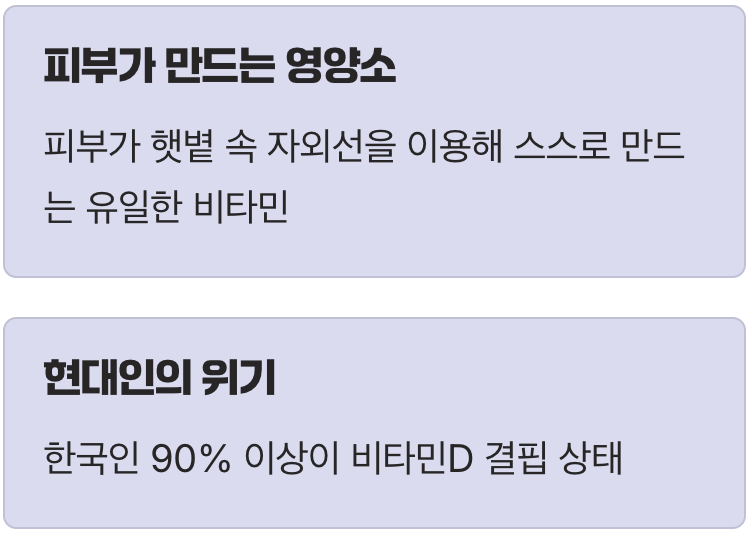 우리 몸이 직접 만드는 유일한 비타민