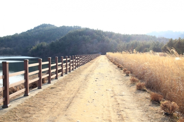 군산 가볼만한곳 - 군산호수 둘레길