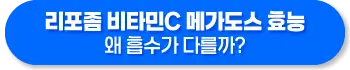 리포좀 비타민C 메가도스 효능