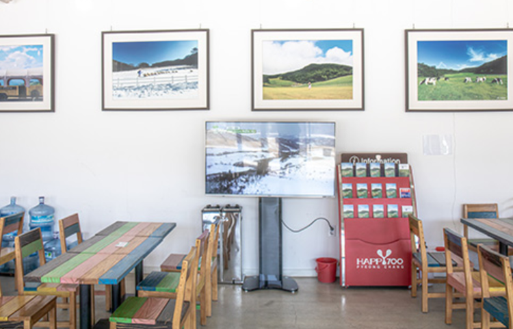 대관령 하늘목장