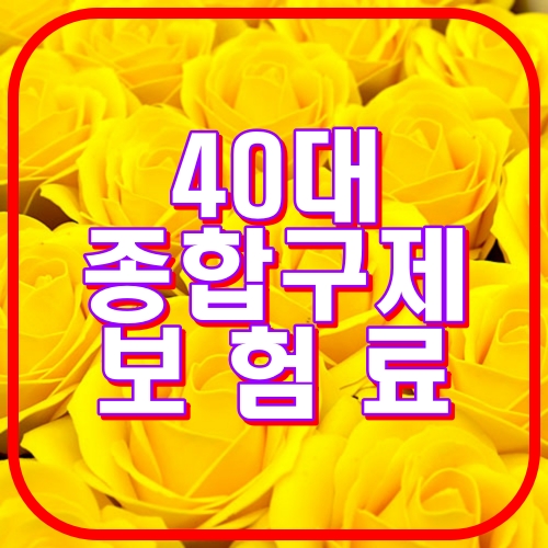 40대 종합구제 보험료