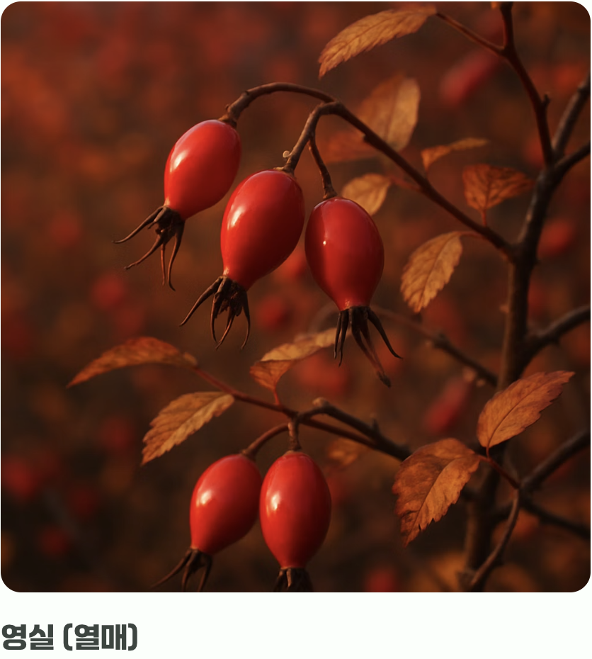 꽃 지고 난 뒤의 선물&amp;#44; &amp;#39;열매와 활용&amp;#39;
