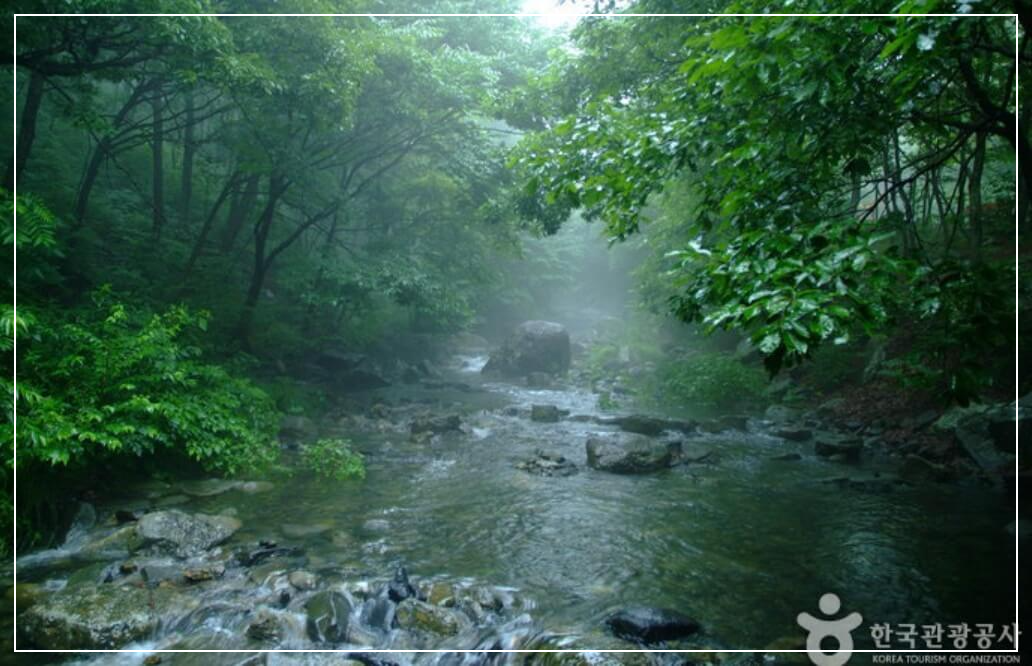 보령 가볼만한곳 베스트10 성주산자연휴양림