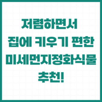 미세먼지정화식물-실내공기정화-서울미세먼지농도